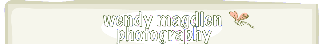 Wendy Magdlen Photography logo